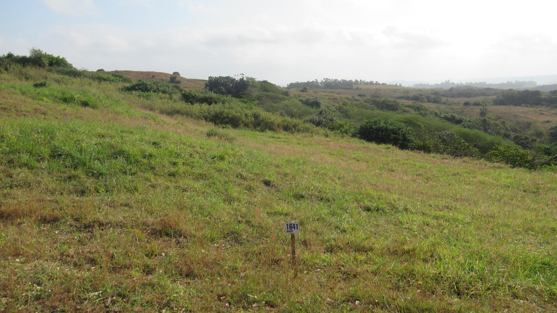 Front View of property in Shelly Beach