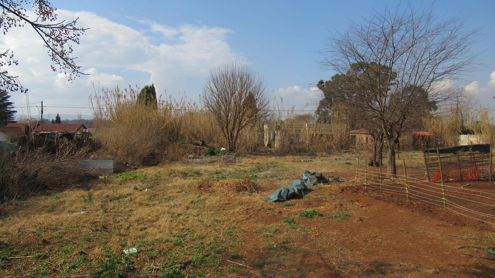 Backyard of property in Daleside