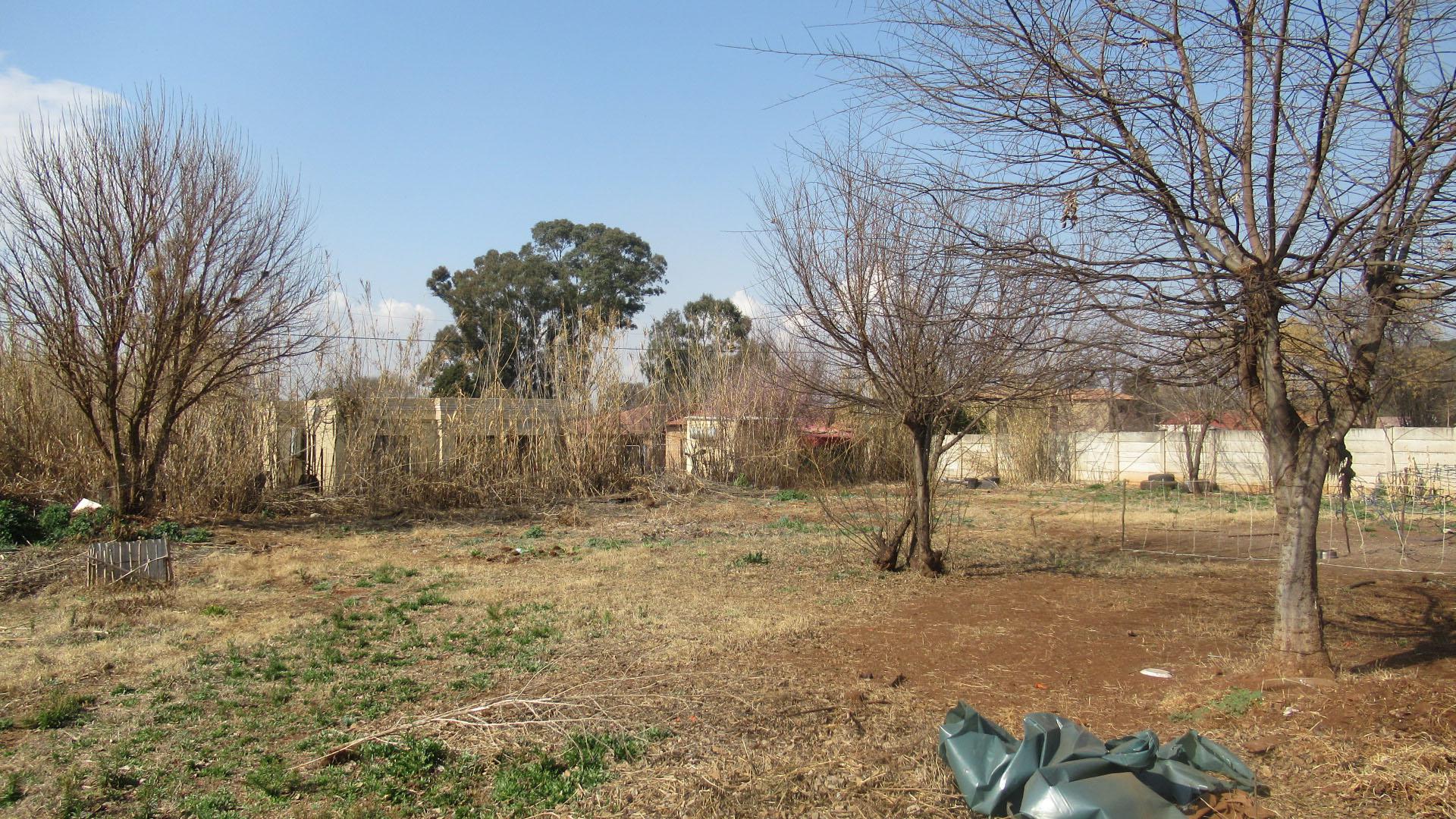 Backyard of property in Daleside