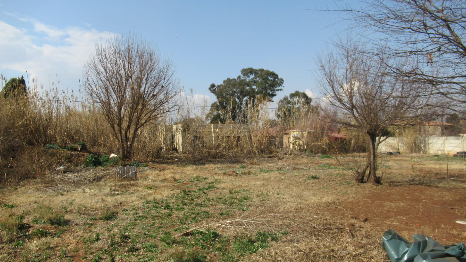 Backyard of property in Daleside