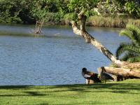 Land for Sale for sale in Marina Beach