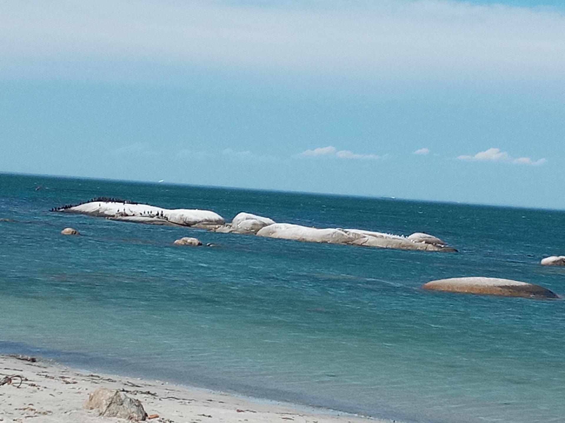 Land for Sale For Sale in St Helena Bay MR522825 MyRoof