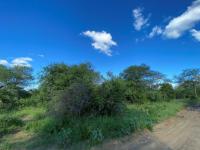  of property in Hoedspruit