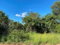  of property in Hoedspruit