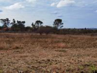 Land for Sale for sale in Ivy Park