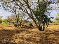 Land for Sale for sale in Ivy Park