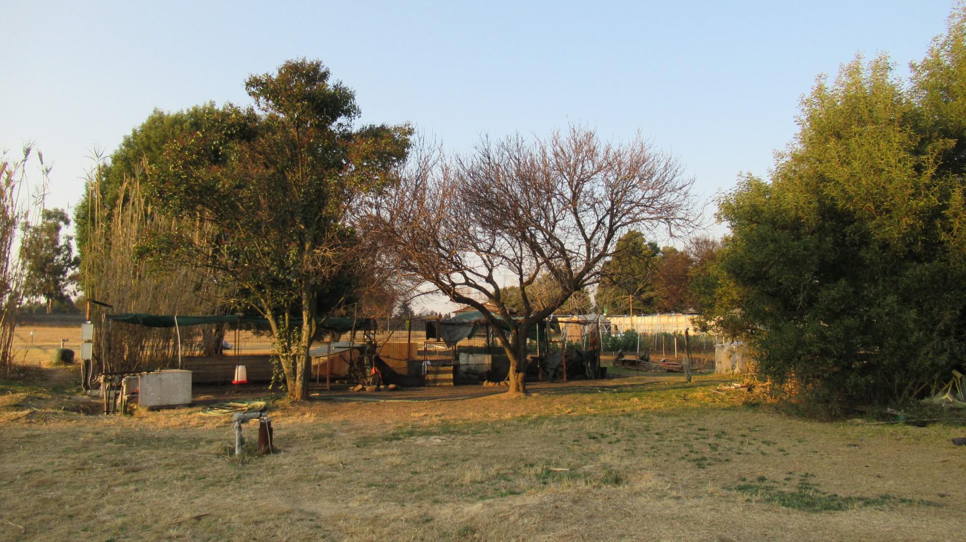 Backyard of property in Fairleads