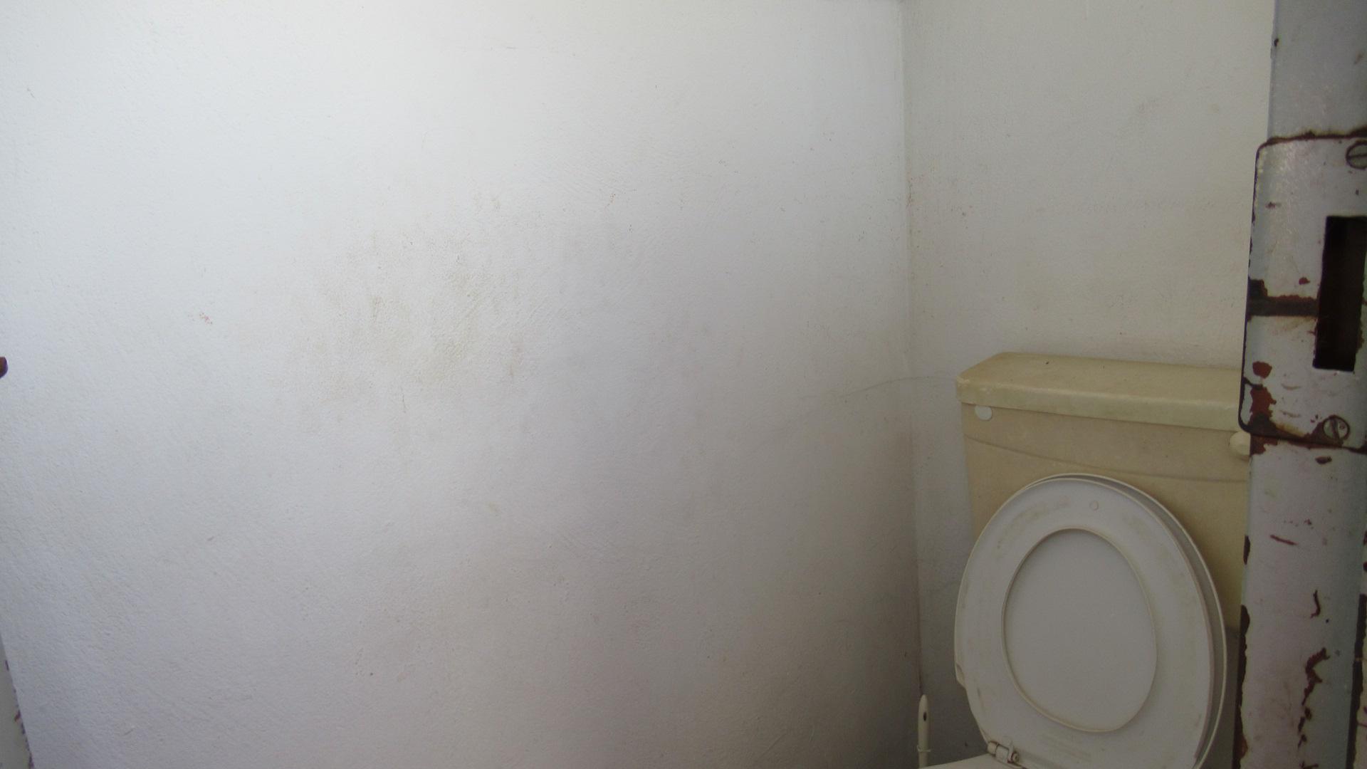 Staff Bathroom - 2 square meters of property in Lenasia South