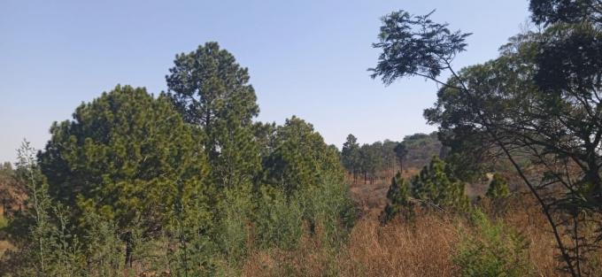 Land for Sale For Sale in Ohenimuri - MR524456