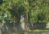 Front View of property in Lambton