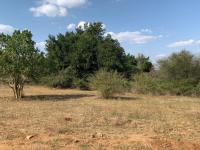  of property in Hoedspruit