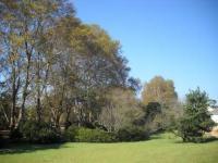  of property in Montrose