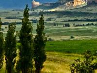  of property in Fouriesburg