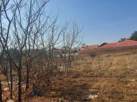  of property in Welgelegen (Polokwane)