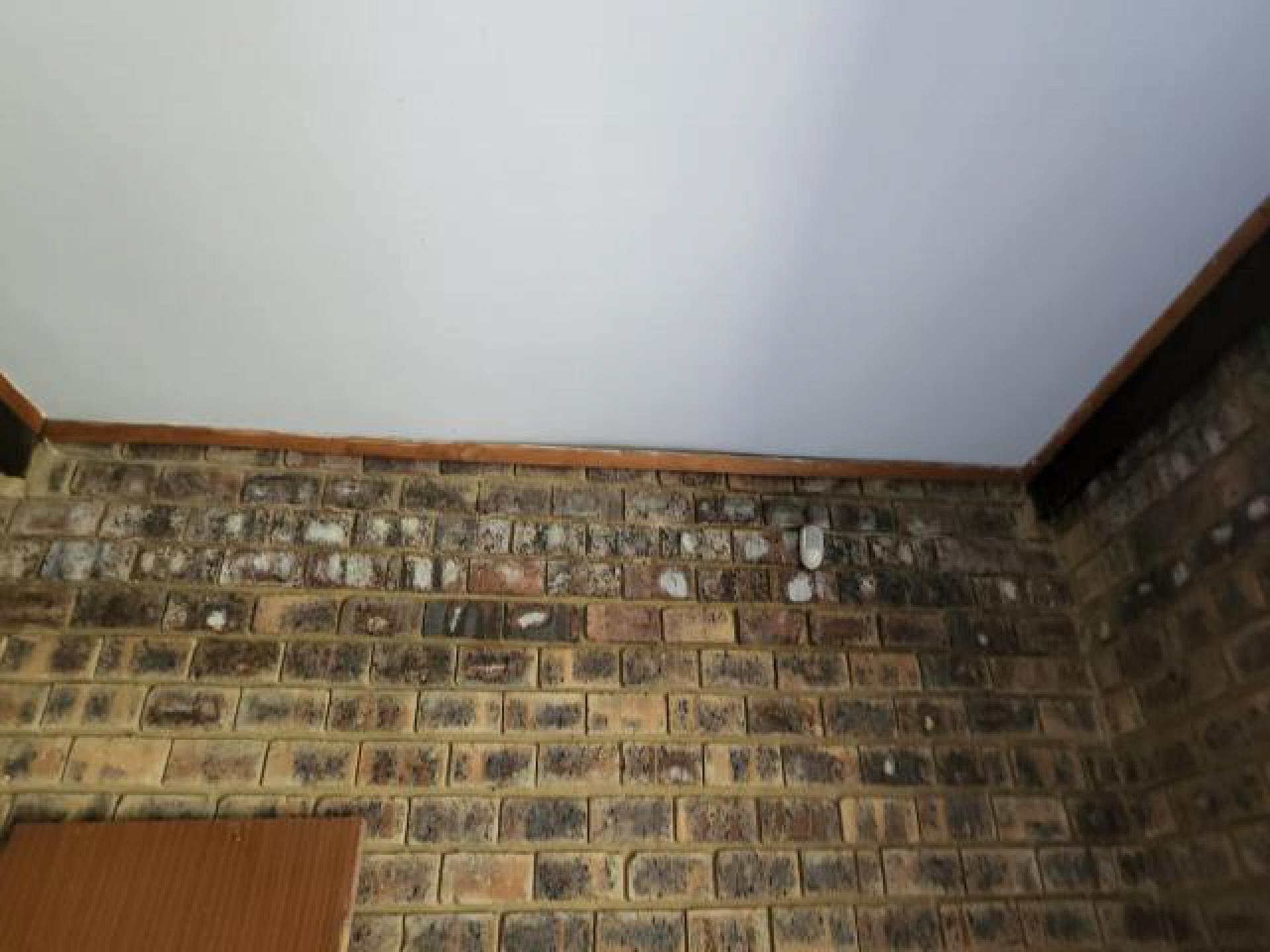 Spaces - 41 square meters of property in Emalahleni (Witbank) 