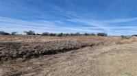 Land for Sale for sale in Westonaria