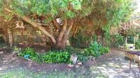 Garden of property in Fisherhaven