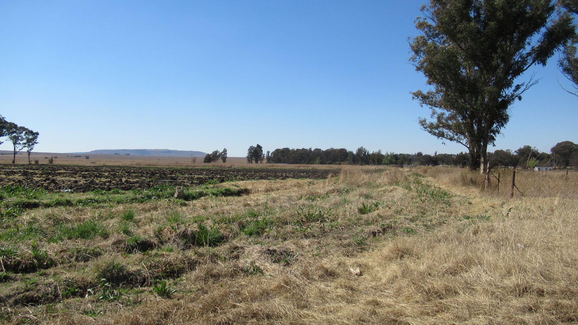 Front View of property in Walkers Fruit Farms SH