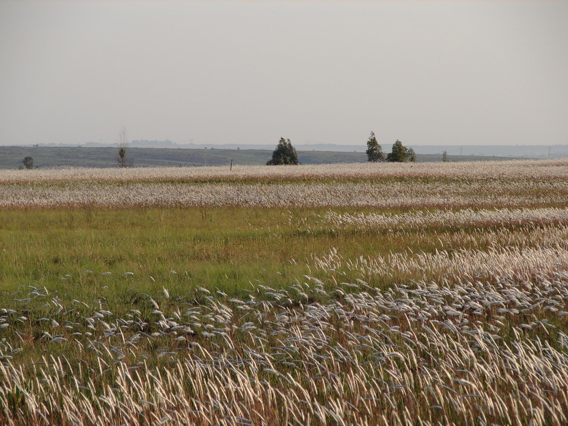 Spaces - 67 square meters of property in Middelburg - MP