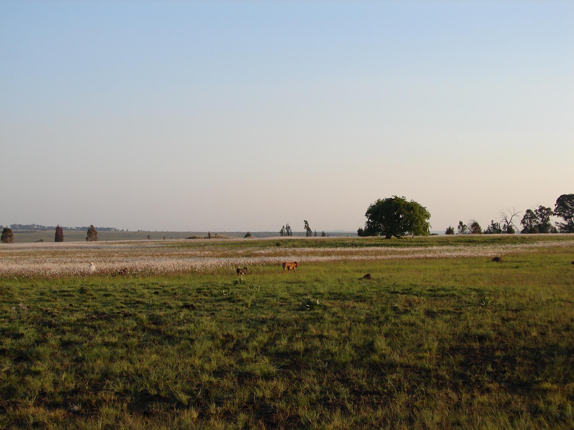 Garden of property in Middelburg - MP