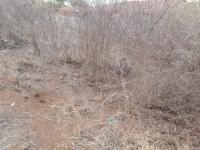  of property in Polokwane