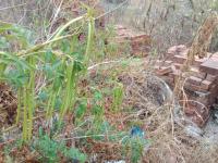  of property in Polokwane