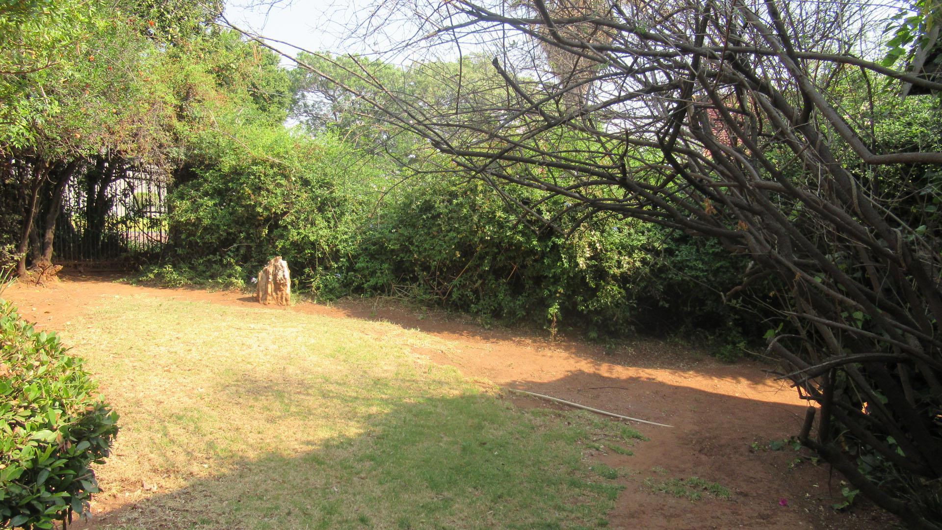 Garden of property in Linden