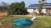 Backyard of property in Malmesbury