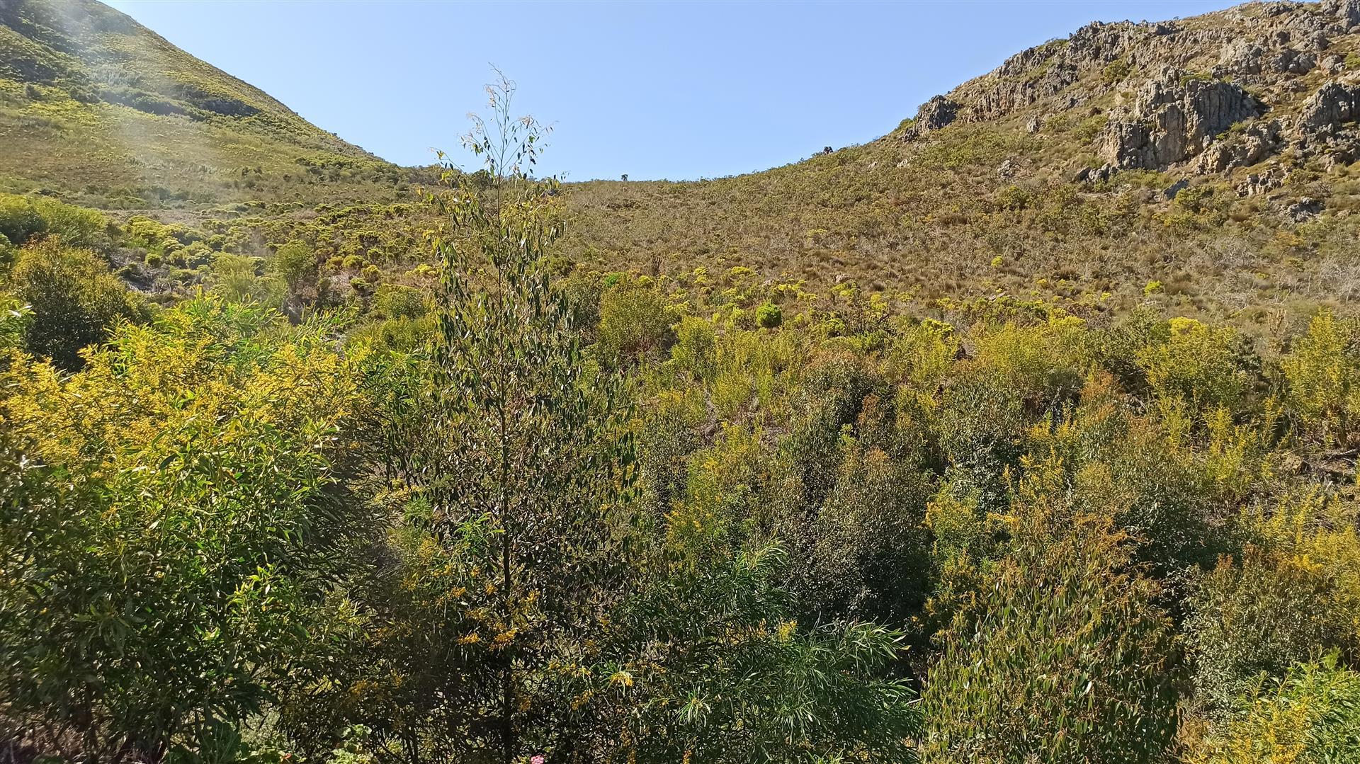 Spaces of property in Onrus Rivier (Onrus)