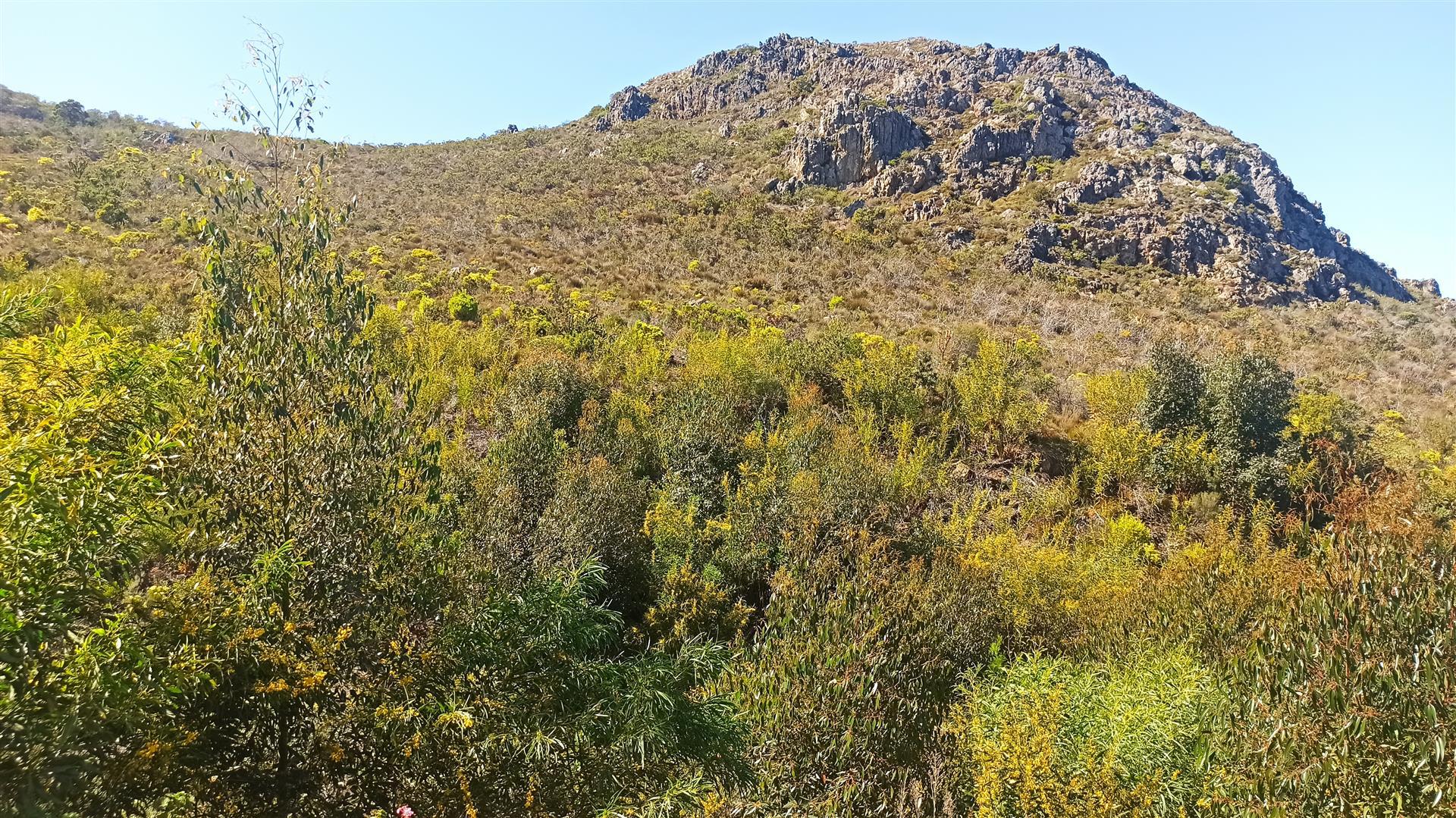 Spaces of property in Onrus Rivier (Onrus)