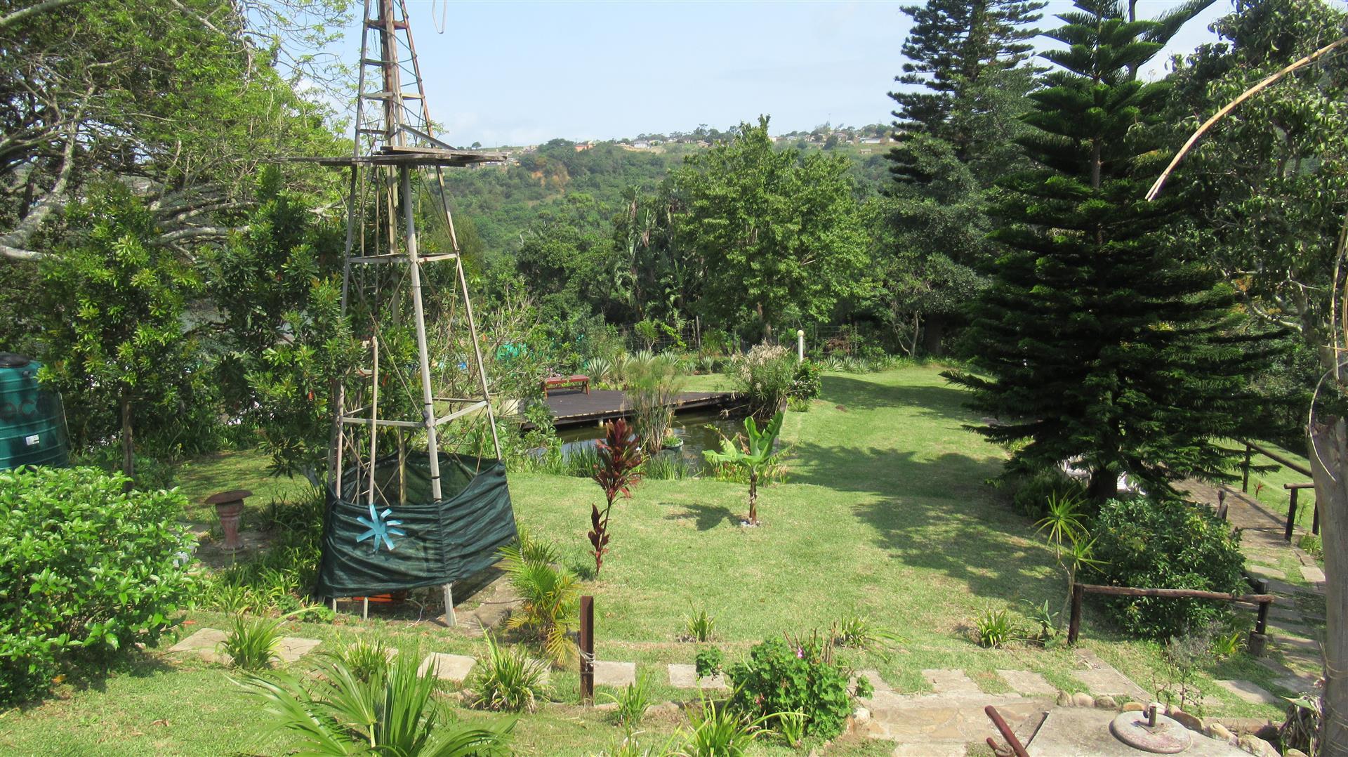Backyard of property in Port Edward