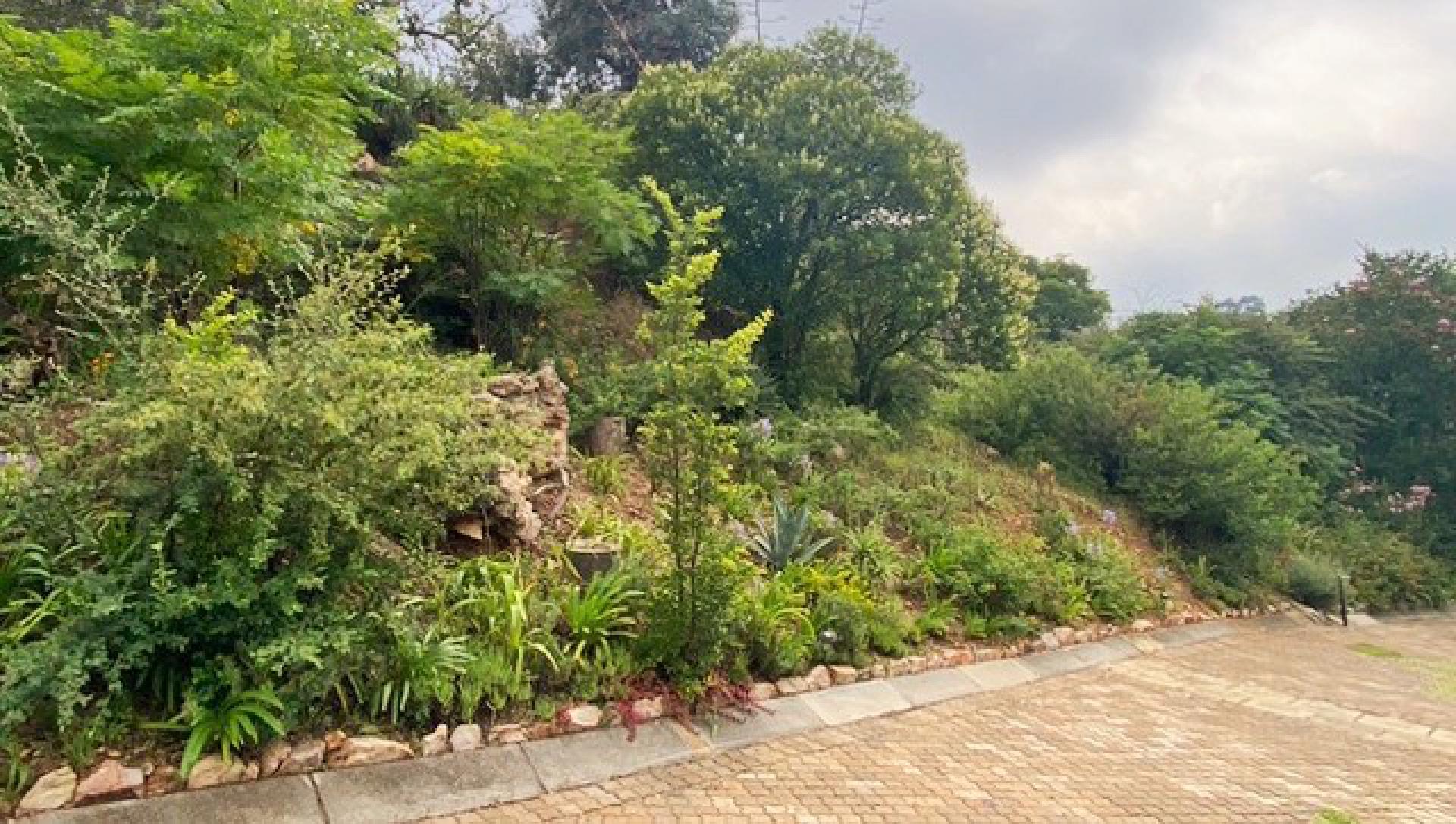 Spaces of property in Observatory - JHB