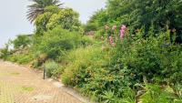 Spaces of property in Observatory - JHB