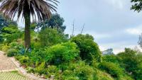 Spaces of property in Observatory - JHB