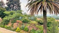 Spaces of property in Observatory - JHB