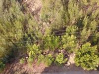 Land for Sale for sale in Ohenimuri