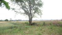 Land for Sale for sale in Daleside