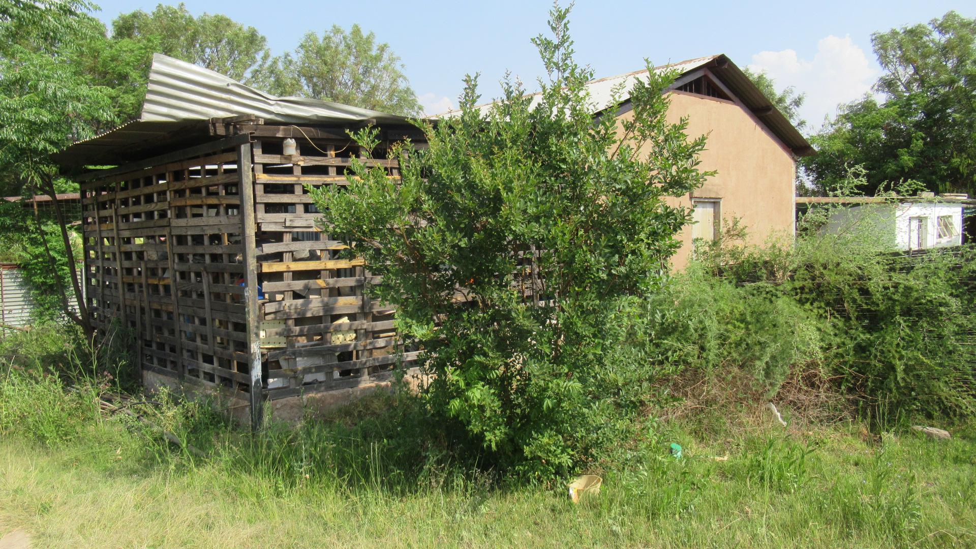 Backyard of property in Farm Haakdoornboom