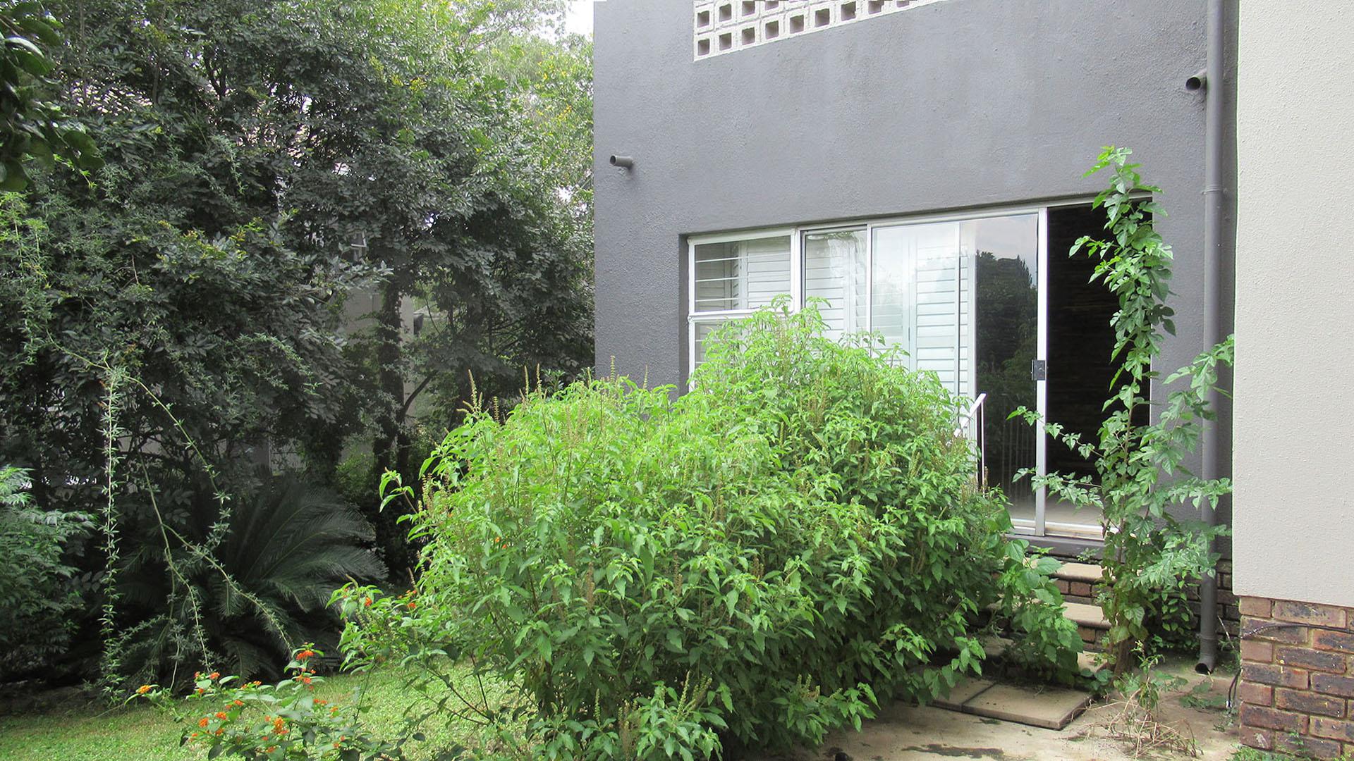 Backyard of property in Edenburg - Jhb