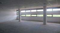 Rooms - 242 square meters of property in Illovo