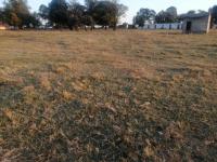Land for Sale for sale in Sky City
