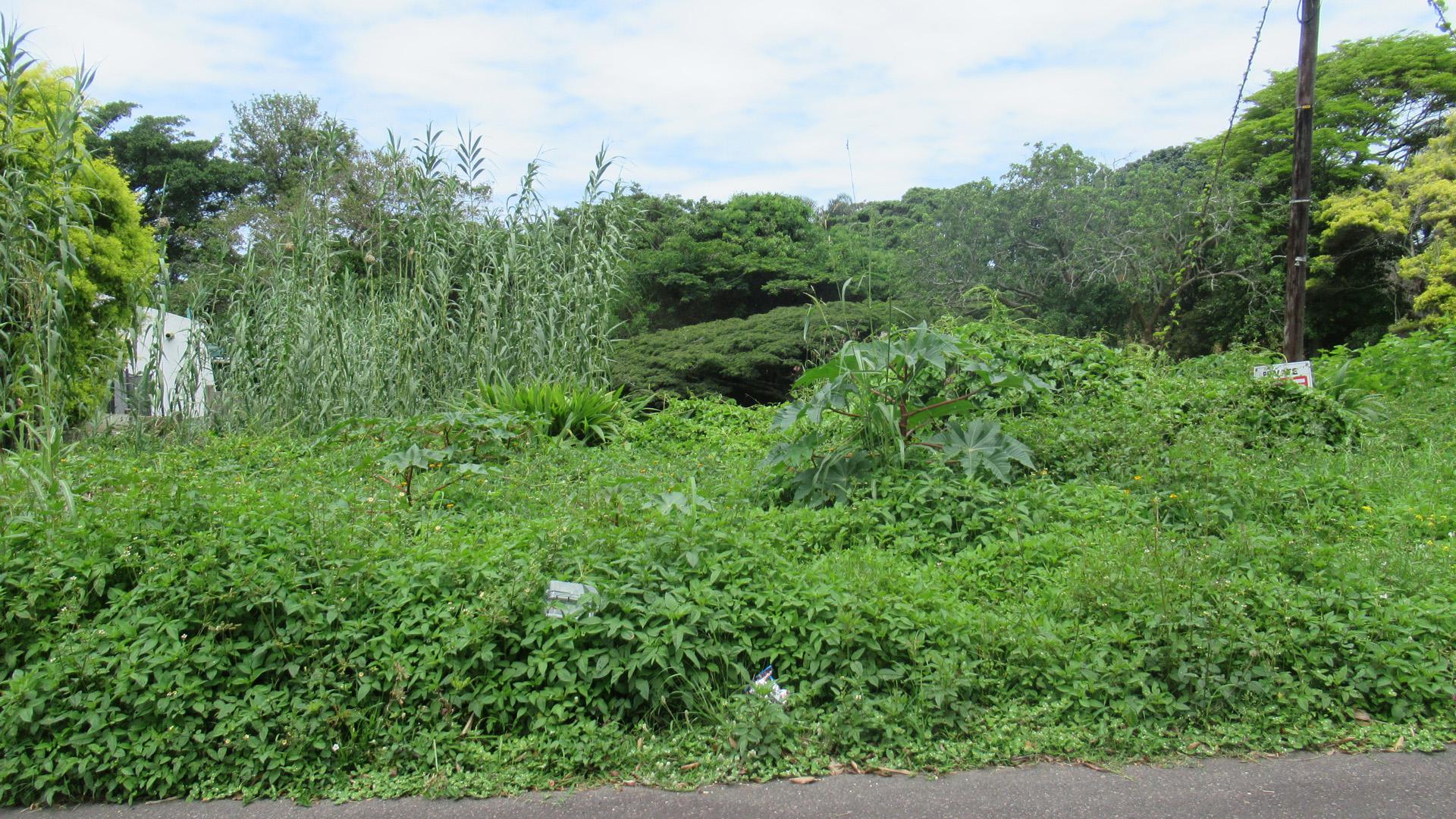 Front View of property in Scottburgh South