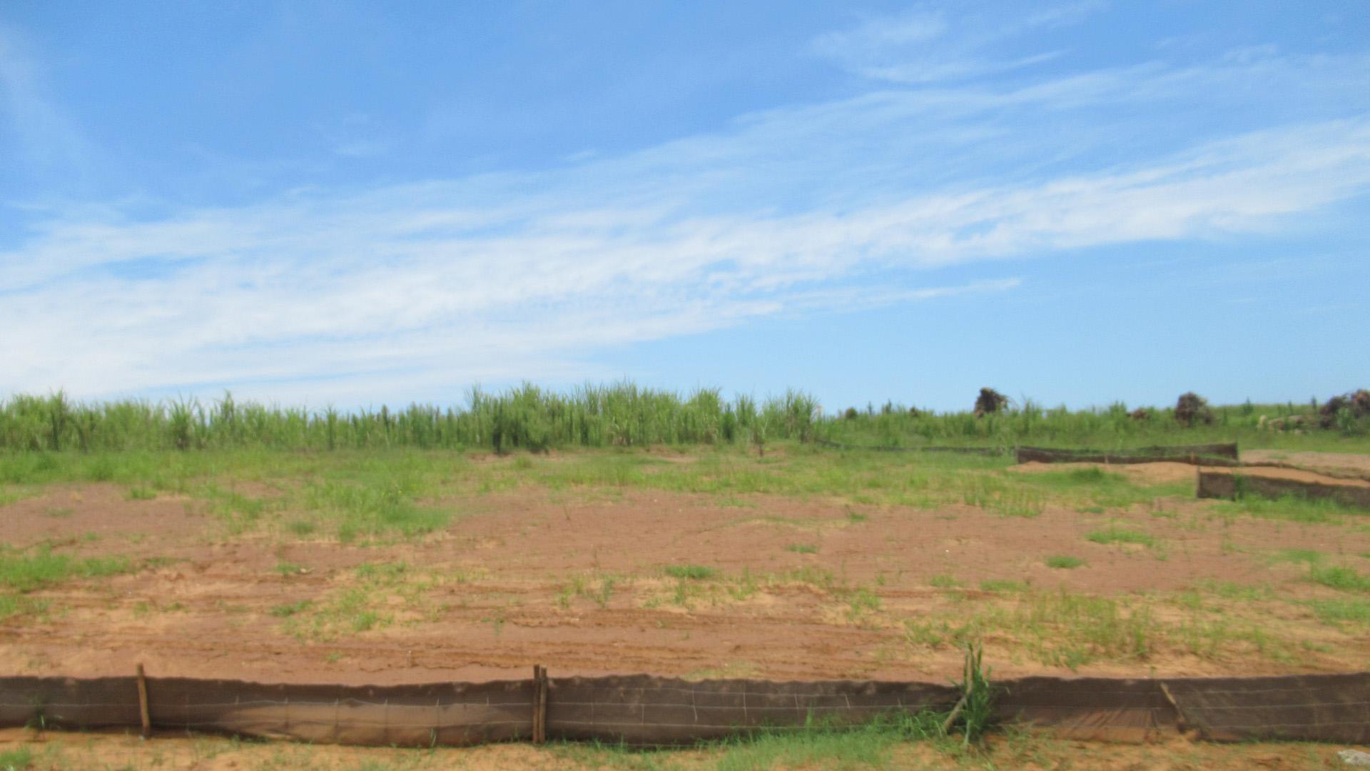 Front View of property in Umdloti 