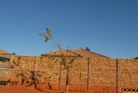 Front View of property in Protea Glen