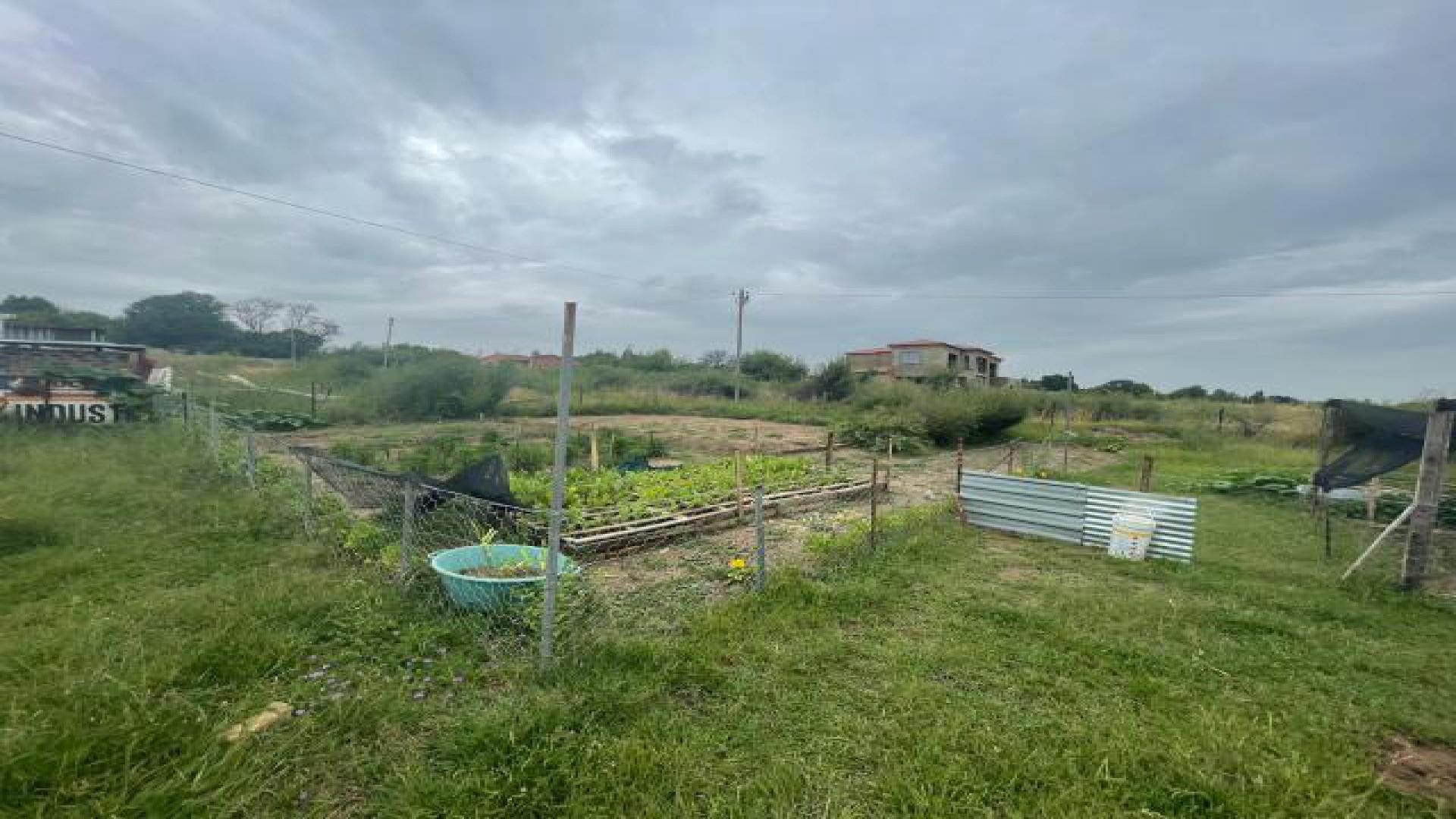 Backyard of property in Kroonstad
