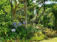  of property in Montagu