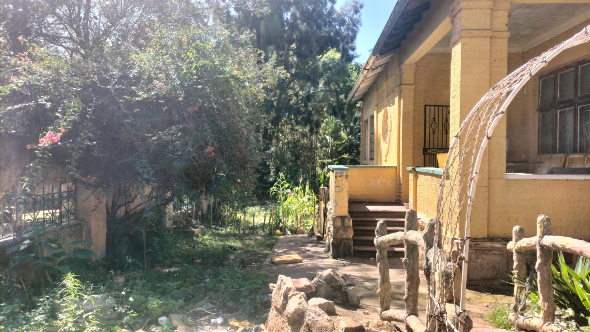 Backyard of property in Troyeville