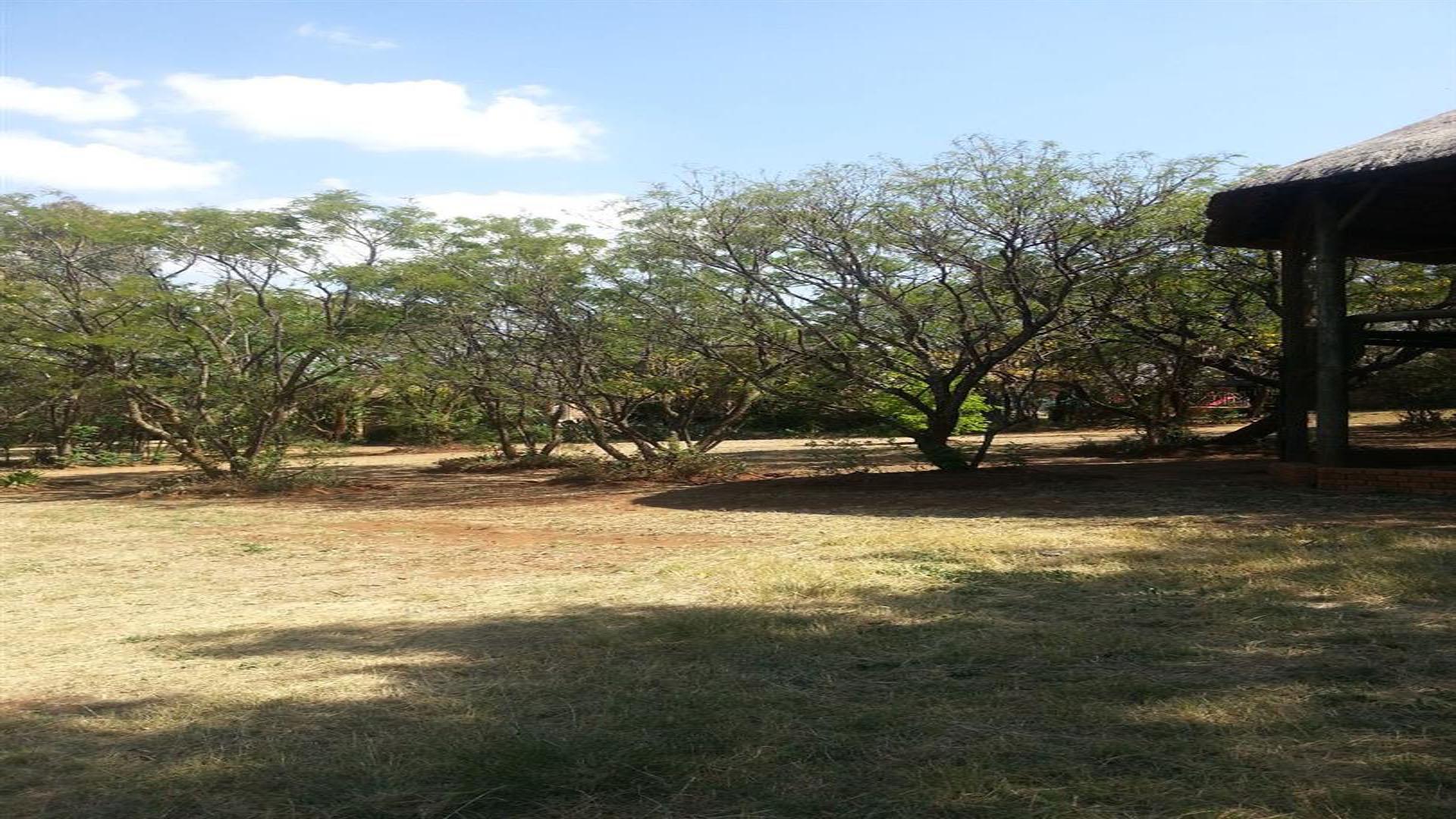 Backyard of property in Ruimsig