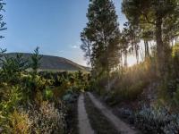 Smallholding for Sale for sale in Plettenberg Bay
