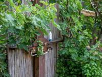  of property in Plettenberg Bay